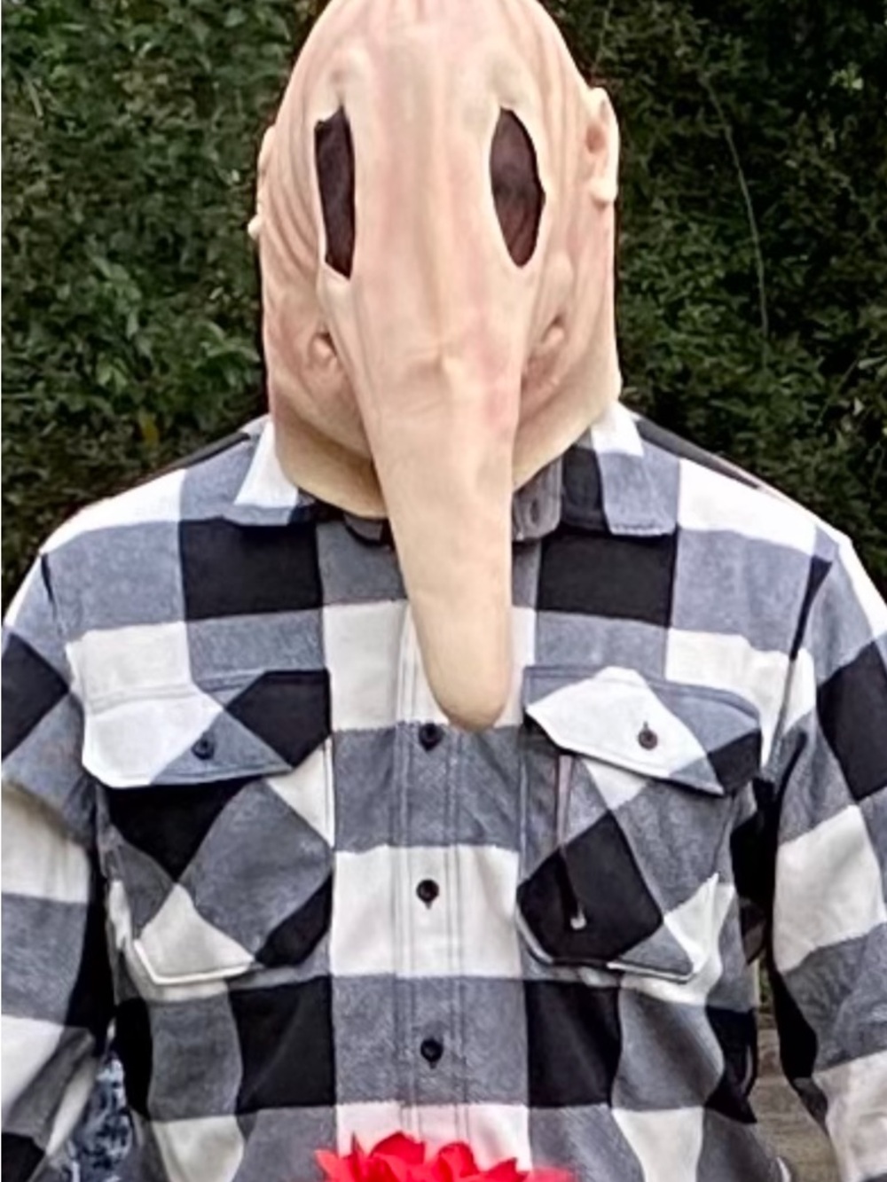 Beetlejuice costume- husband “Adam”  Buffalo Check Flannel shirt.